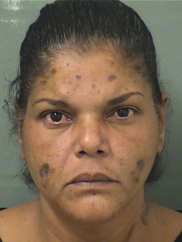  JANET GONZALEZPINERO Results from Palm Beach County Florida for  JANET GONZALEZPINERO