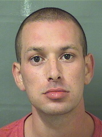  VINCENT ALEXANDER CIDONI Results from Palm Beach County Florida for  VINCENT ALEXANDER CIDONI