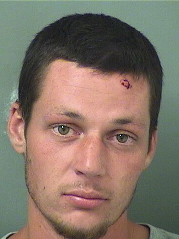  ZACHARY M MILLS Results from Palm Beach County Florida for  ZACHARY M MILLS