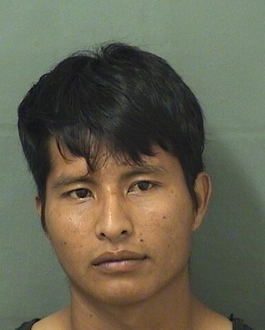  PANTALION DIAZJERONIMO Results from Palm Beach County Florida for  PANTALION DIAZJERONIMO