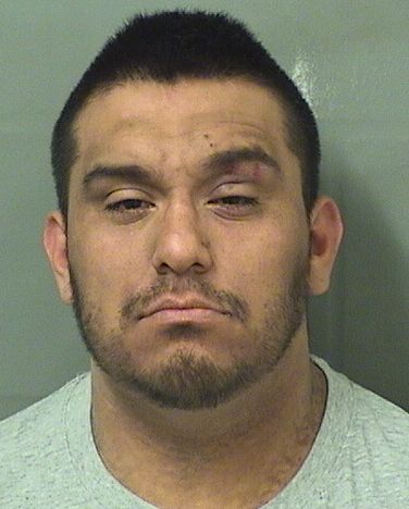  FERNANDO NUNEZ Results from Palm Beach County Florida for  FERNANDO NUNEZ