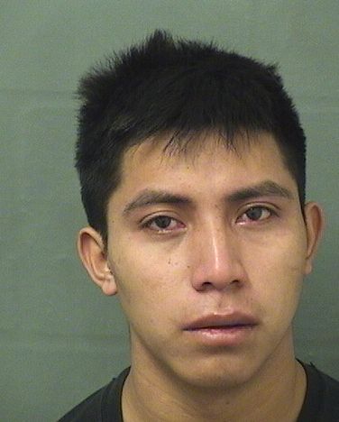  ROHY J TOMAS Photo For  ROHY J TOMAS