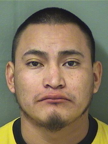  MONTEJO JUAN GASPARFELIX Results from Palm Beach County Florida for  MONTEJO JUAN GASPARFELIX