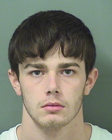  SHAWN D LEWIS Results from Palm Beach County Florida for  SHAWN D LEWIS