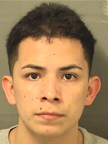  DANIEL E AVALOSAVALOS Results from Palm Beach County Florida for  DANIEL E AVALOSAVALOS