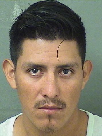  ARTURO ANDRES FRANCISCO Results from Palm Beach County Florida for  ARTURO ANDRES FRANCISCO
