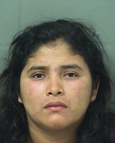  ARCUCINA VALAQUEZ Results from Palm Beach County Florida for  ARCUCINA VALAQUEZ