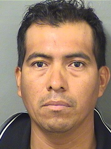  FAUSTO PEREZGONZALEZ Results from Palm Beach County Florida for  FAUSTO PEREZGONZALEZ