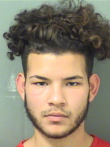NAVARRO ALFREDO PADILLA Results from Palm Beach County Florida for NAVARRO ALFREDO PADILLA NAVARRO ALFREDO PADILLA Results from Palm Beach County Florida for NAVARRO ALFREDO PADILLA