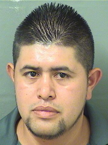  JAIME ALVAREZMERLOS Results from Palm Beach County Florida for  JAIME ALVAREZMERLOS