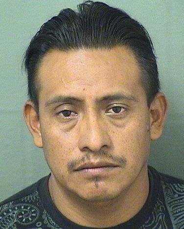  JUAN GASPAR IGNACIO Results from Palm Beach County Florida for  JUAN GASPAR IGNACIO