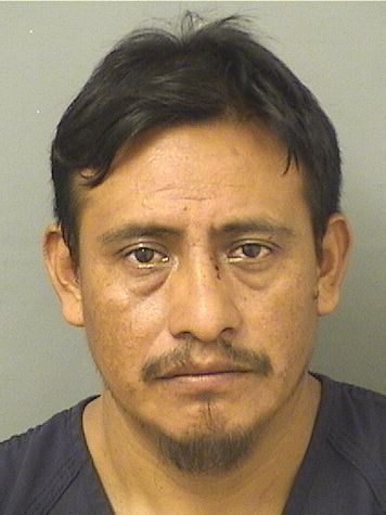 JUAN GASPAR Photos For  JUAN GASPAR  JUAN GASPAR Photo For  JUAN GASPAR