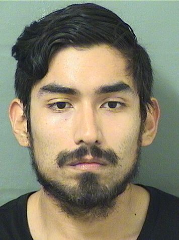  IVAN ALEXIS RECALDE Resultados de la busqueda para Palm Beach County Florida para  IVAN ALEXIS RECALDE