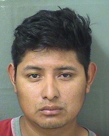  GASPAR AROLDO MATEOMORALES Results from Palm Beach County Florida for  GASPAR AROLDO MATEOMORALES