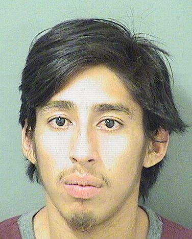  LUIS R SERNAVARGAS Resultados de la busqueda para Palm Beach County Florida para  LUIS R SERNAVARGAS