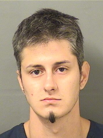  DENIZ BODULOVIC Results from Palm Beach County Florida for  DENIZ BODULOVIC