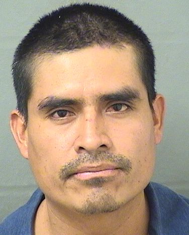  FRANCISCO ALONSOCRUZ Results from Palm Beach County Florida for  FRANCISCO ALONSOCRUZ