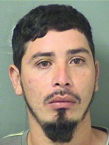  LUIS T VELASQUEZ Resultados de la busqueda para Palm Beach County Florida para  LUIS T VELASQUEZ