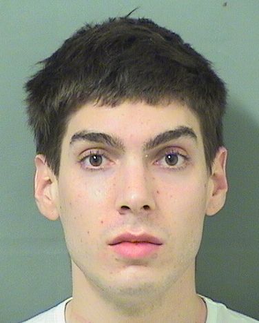  RYAN MITCHELL GAINES Results from Palm Beach County Florida for  RYAN MITCHELL GAINES