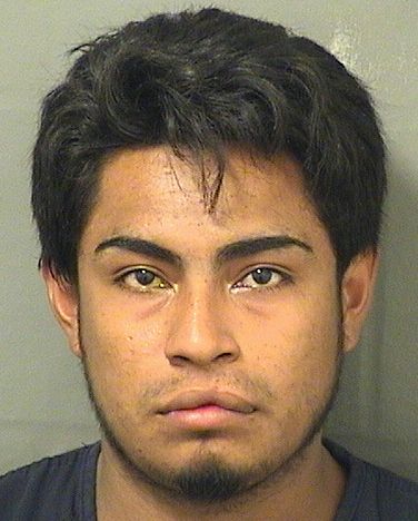  CARLOS ALEXIS MARTINEZRAMOS Results from Palm Beach County Florida for  CARLOS ALEXIS MARTINEZRAMOS