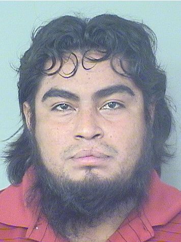  CARLOS MARTINEZRAMOS Results from Palm Beach County Florida for  CARLOS MARTINEZRAMOS