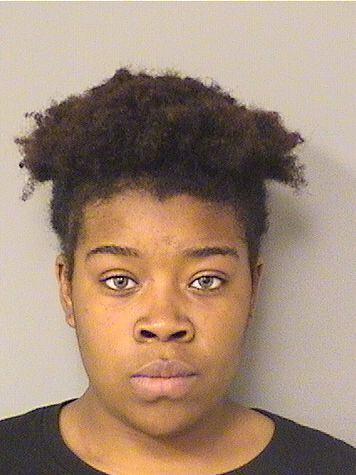  DEJANIRA ALEXANDRA GIBSON Results from Palm Beach County Florida for  DEJANIRA ALEXANDRA GIBSON