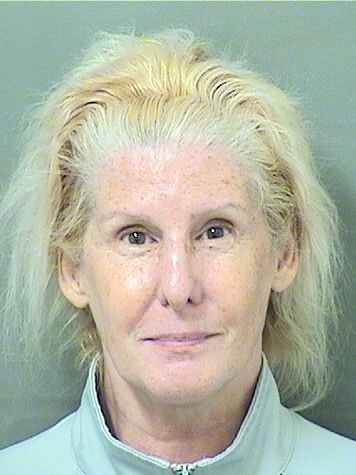  AMY ELIZABETH PAGANO Results from Palm Beach County Florida for  AMY ELIZABETH PAGANO