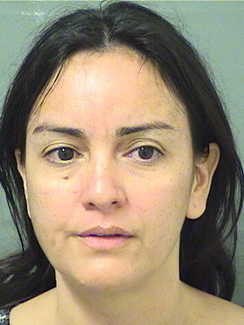  ANA CAROLINA HERNANDEZ Results from Palm Beach County Florida for  ANA CAROLINA HERNANDEZ