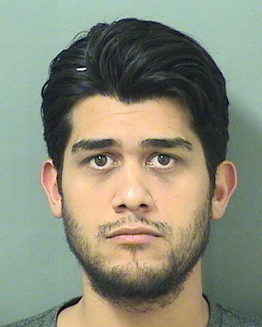  PAUL JOHN COSTELLO Resultados de la busqueda para Palm Beach County Florida para  PAUL JOHN COSTELLO