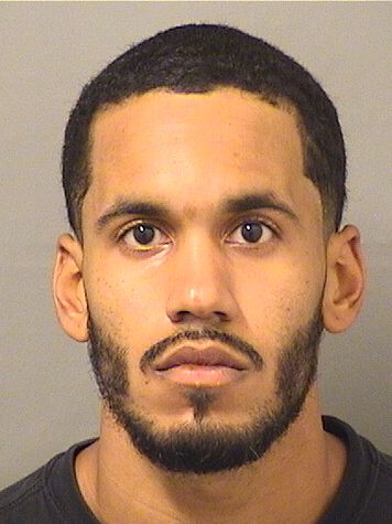  SERGIO ARISNADY RODRIGUEZ Results from Palm Beach County Florida for  SERGIO ARISNADY RODRIGUEZ