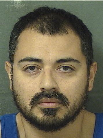  ALEXANDER CARL HAJE Results from Palm Beach County Florida for  ALEXANDER CARL HAJE