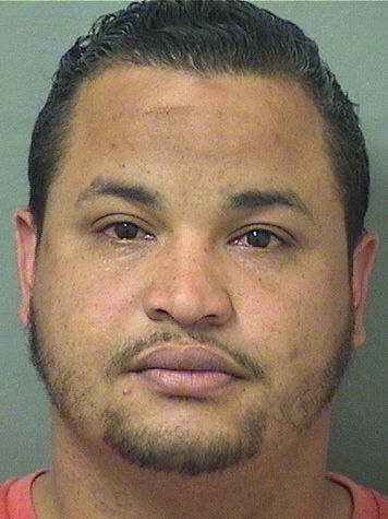  CARLOS  Jr ESTUPINAN Results from Palm Beach County Florida for  CARLOS  Jr ESTUPINAN