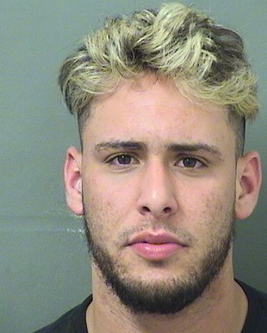  ALBERT LUIS PINIELLAGONZALEZ Resultados de la busqueda para Palm Beach County Florida para  ALBERT LUIS PINIELLAGONZALEZ