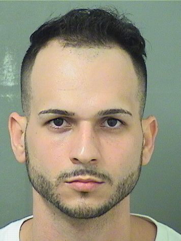  RICARDO MELILLO ALBERTO Results from Palm Beach County Florida for  RICARDO MELILLO ALBERTO