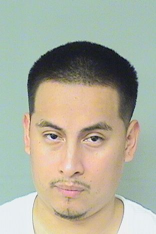  EDER J VILLAMOR Resultados de la busqueda para Palm Beach County Florida para  EDER J VILLAMOR