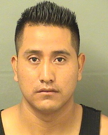  MIGUEL MIGUEL MONEJO Results from Palm Beach County Florida for  MIGUEL MIGUEL MONEJO