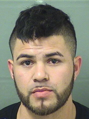  ANTONIO MARTINEZGONZALEZ Results from Palm Beach County Florida for  ANTONIO MARTINEZGONZALEZ