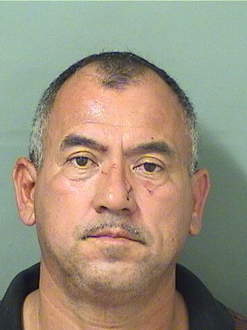  FREDY ALBERTO MOLINA Photo For  FREDY ALBERTO MOLINA