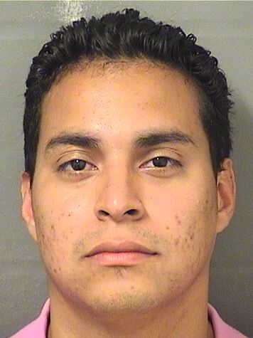  LUIS MIGUEL MOJICA Results from Palm Beach County Florida for  LUIS MIGUEL MOJICA