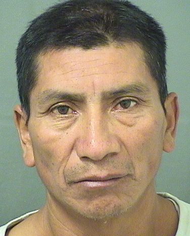  MAXIMO FRANCISCO PEREZPUAC Results from Palm Beach County Florida for  MAXIMO FRANCISCO PEREZPUAC