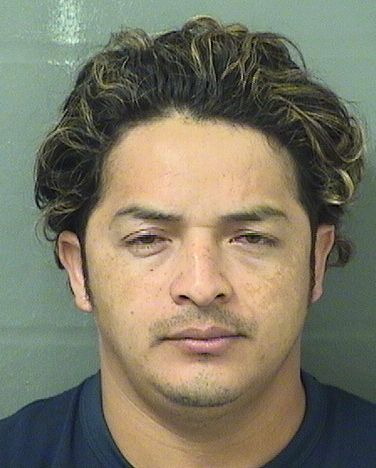 ELMER NOE ACOSTARODRIGUEZ Results from Palm Beach County Florida for  ELMER NOE ACOSTARODRIGUEZ