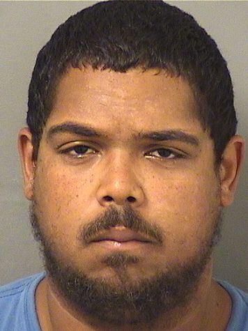 DENES GUZMAN Results from Palm Beach County Florida for DENES GUZMAN DENES GUZMAN Results from Palm Beach County Florida for DENES GUZMAN