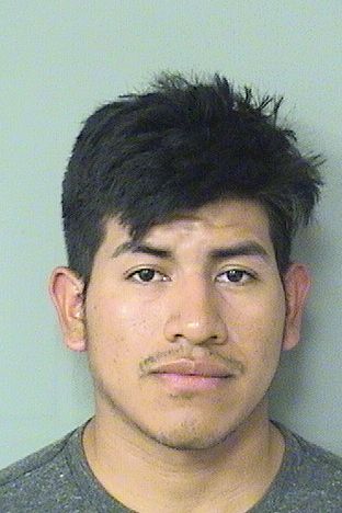  ALFREDO DOMINGO SANCHEZ Results from Palm Beach County Florida for  ALFREDO DOMINGO SANCHEZ