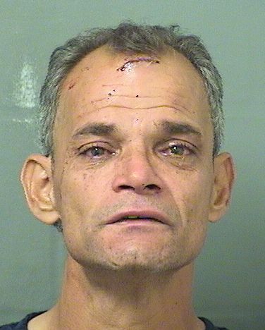  HENRY ALBERTO MEJIA Results from Palm Beach County Florida for  HENRY ALBERTO MEJIA