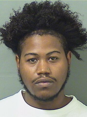  ANFERNEE NAQUARIS SMITH Results from Palm Beach County Florida for  ANFERNEE NAQUARIS SMITH