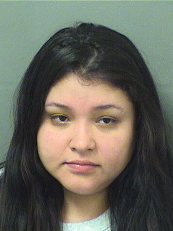  YVETTE MELODY BAQUE Results from Palm Beach County Florida for  YVETTE MELODY BAQUE