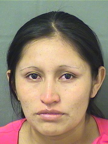  ERICA D GOMEZPEREZ Results from Palm Beach County Florida for  ERICA D GOMEZPEREZ