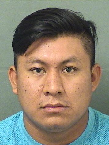  REMIGIO CASTROGARCIA Results from Palm Beach County Florida for  REMIGIO CASTROGARCIA