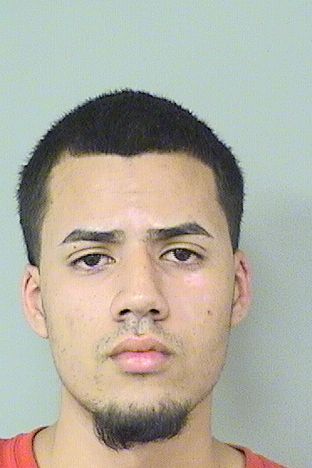  ALEXIS O SANTIAGO Results from Palm Beach County Florida for  ALEXIS O SANTIAGO