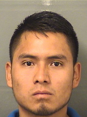  NARCISO VASQUEZALVARADO Results from Palm Beach County Florida for  NARCISO VASQUEZALVARADO